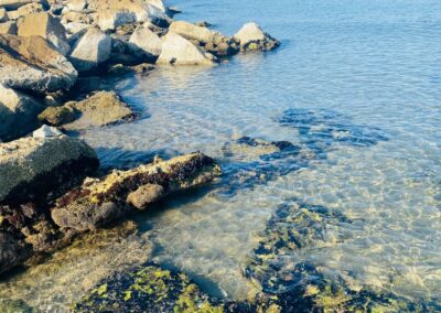 Mare con scogli
